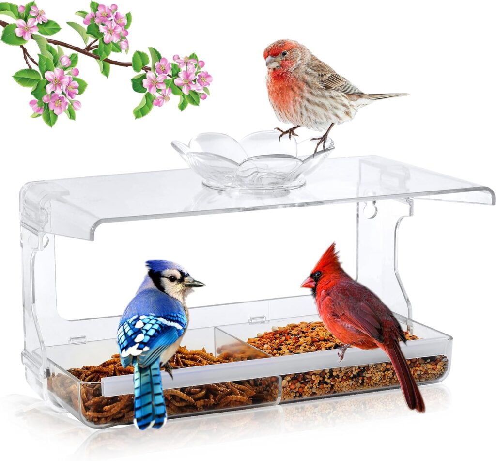 WENMIXER Window Bird Feeder